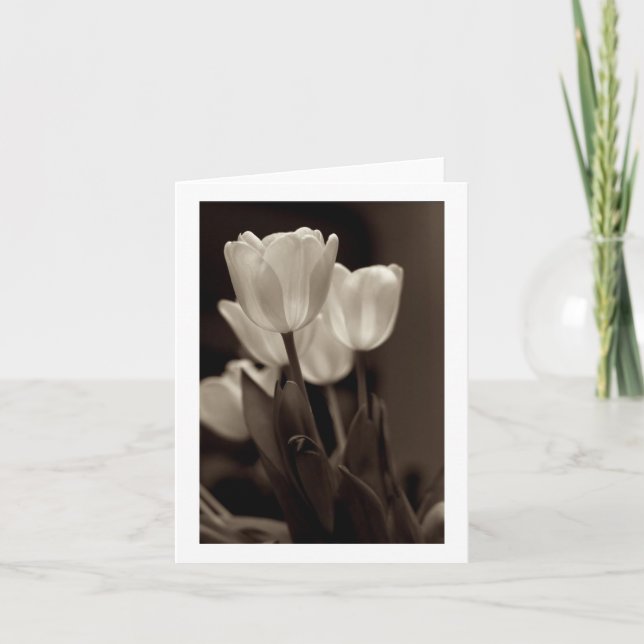 Sepia Tulip Note Card (Front)