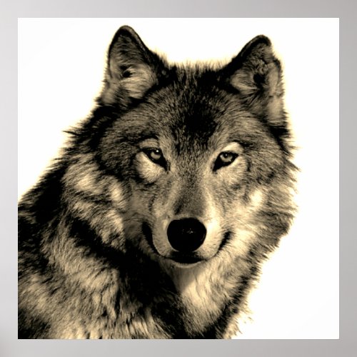 Sepia Unique Motivational Wolf Creative Square Poster