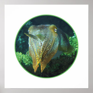 Sepia Up Close! - Round Photographic Design |  Poster