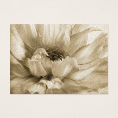 Sepia White &amp; Cream Dahlia Background Customized Business Card