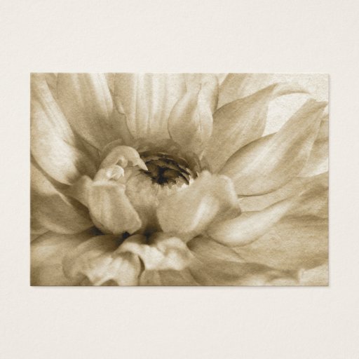 Customizable Sepia White &amp; Cream Dahlia Background Customized Business Card