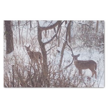 Sepia Winter Season Snow And Deer Photo  Tissue Paper by Susang6 at Zazzle
