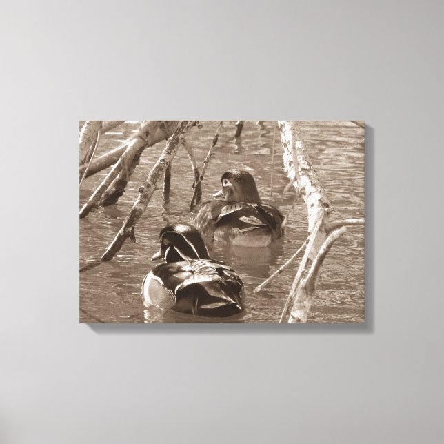 Sepia Wood Duck Pair Canvas Print (Front)