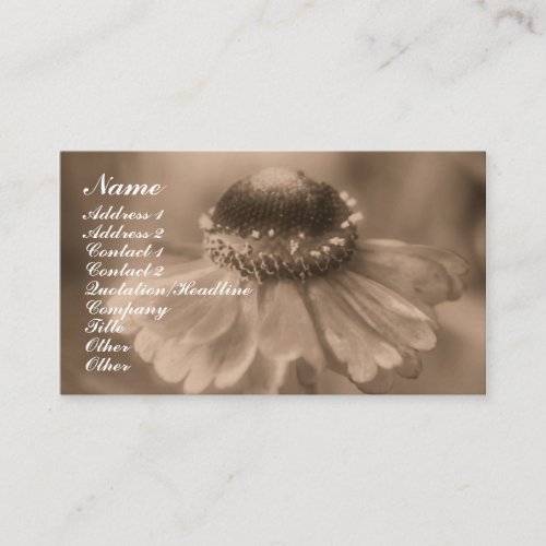 Sepia Zinnia Flower Photography Business Card