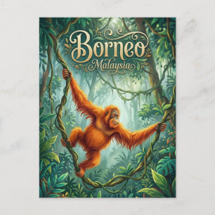 Sepilok Orangutan Rehabilitation Centre Malaysia Postcard
