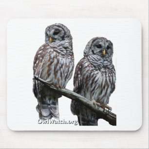 Sept 2014 - OwlWatch Owls Mouse Pad