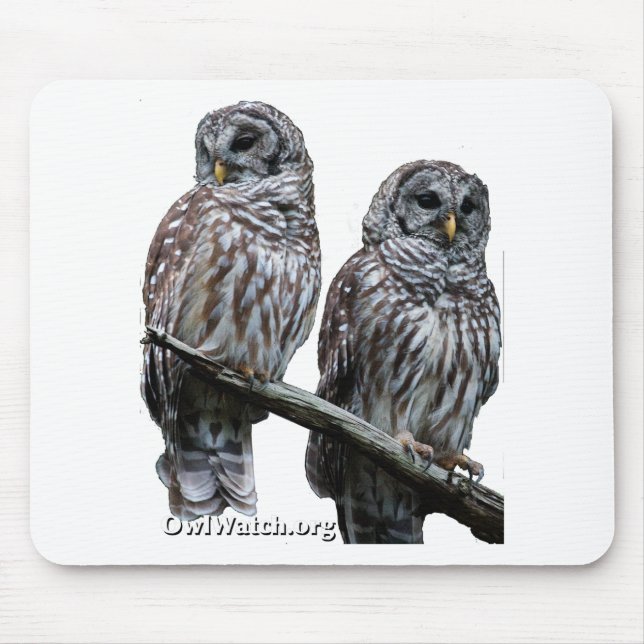 Sept 2014 - OwlWatch Owls Mouse Pad (Front)