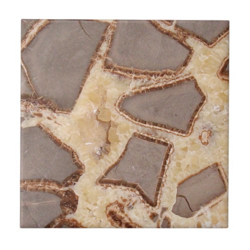 Septarian Nodule Cross Section Interesting Rocks Ceramic Tile