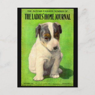 September 1906 Ladies Home Journal cover puppy Postcard