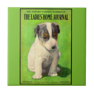 September 1906 Ladies Home Journal cover puppy Tile