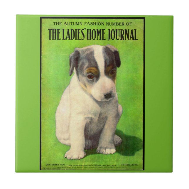 September 1906 Ladies Home Journal cover puppy Tile (Front)