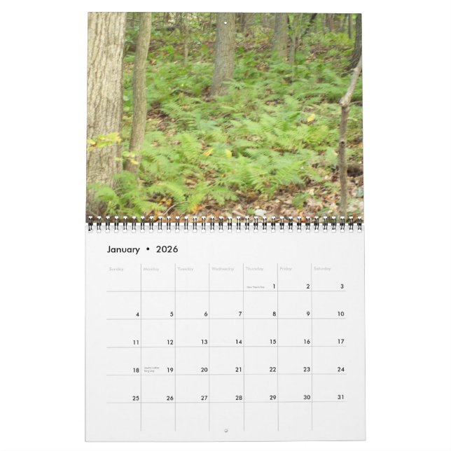 September 2010 - December 2011 Nature Calendar (Jan 2026)