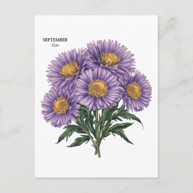 September Aster Birth Month Custom Floral Art Postcard (Front)