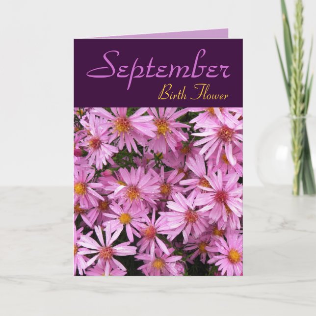 September Birth Flower - Aster Note Card (Front)