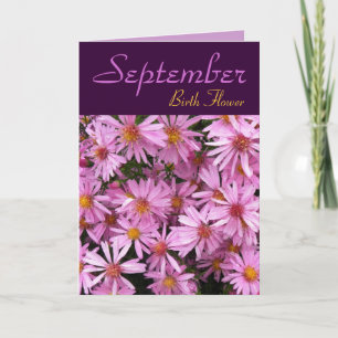 September Birth Flower - Aster Note Card