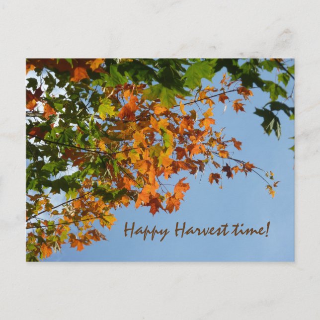 September colours postcard (Front)