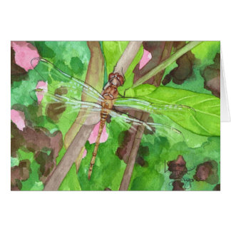September Dragonfly Cards