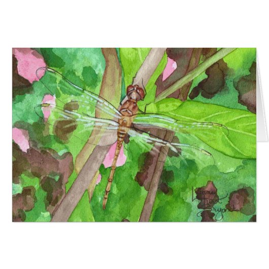 September Dragonfly Cards (Front Horizontal)