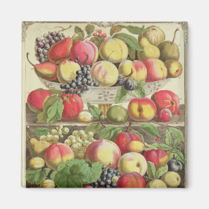 September, from 'Twelve Months of Fruits' Magnet