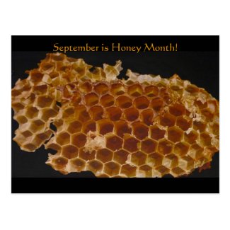 September is Honey Month! Postcard