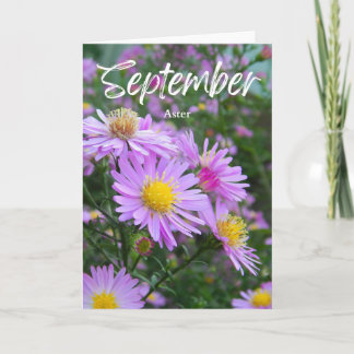 September Purple Yellow Aster Birth Month Birthday Card
