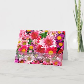 September Stunning Pink Asters For Birthday Card by MagnoliaVintage at Zazzle