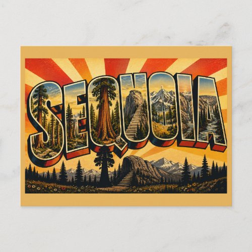 Sequoia California Giant Trees Mountain Art Postcard