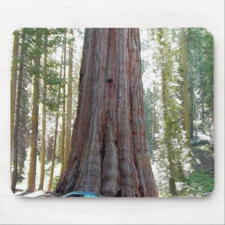 Sequoia Car Tree Mouse Pad