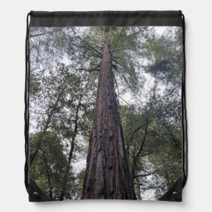 Sequoia Drawstring Backpack
