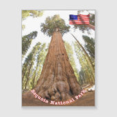 Sequoia - General Sherman Tree - United States - (Front)