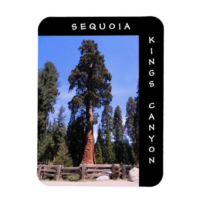 Sequoia Kings Canyon Magnet (Vertical)