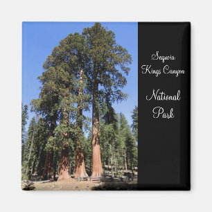 Sequoia/Kings Canyon National Park Magnet