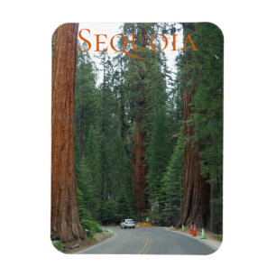 Sequoia/Kings Canyon National Park Magnet