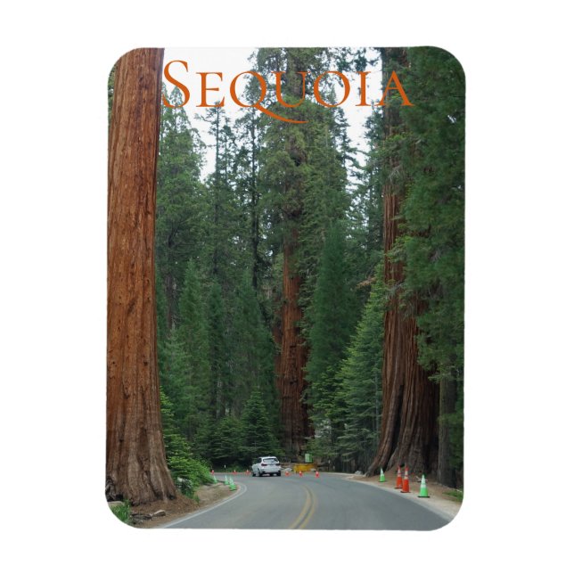 Sequoia/Kings Canyon National Park Magnet (Vertical)