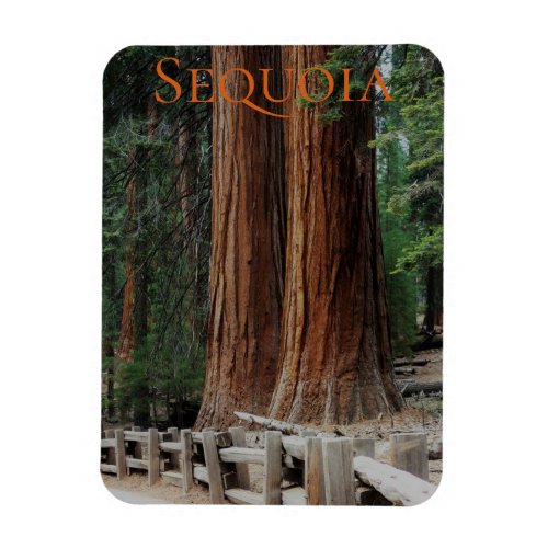 SequoiaKings Canyon National Park Magnet