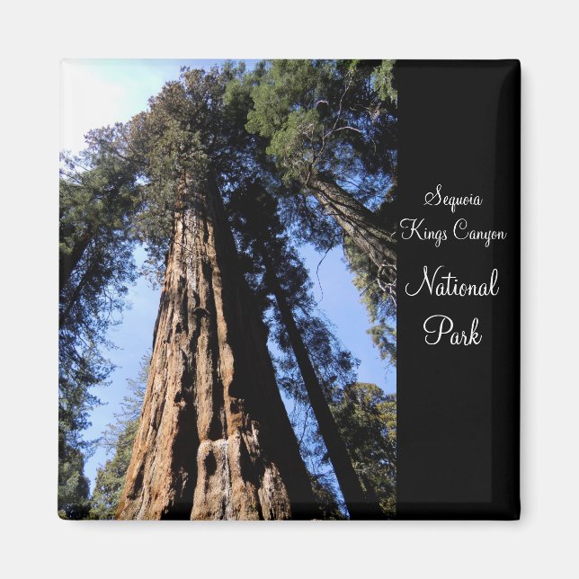 Sequoia/Kings Canyon National Park Magnet (Front)