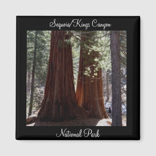 SequoiaKings Canyon National Park Magnet