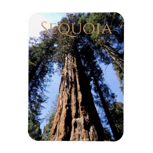 SequoiaKings Canyon National Park Magnet