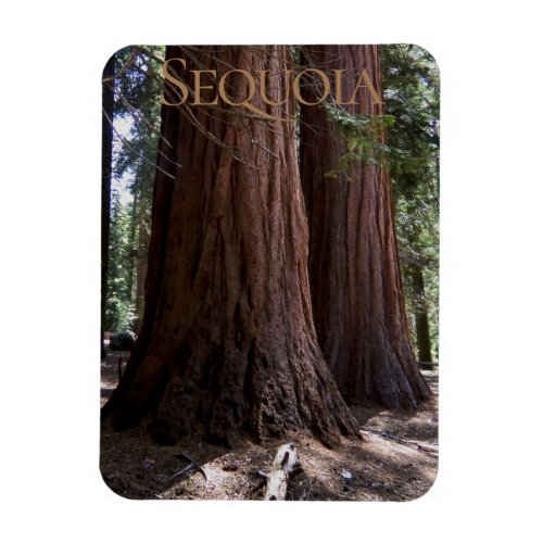 Sequoia Kings Canyon National Park Magnet