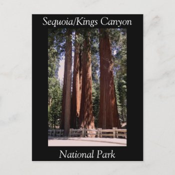 Sequoia Kings Canyon National Park Postcard by photog4Jesus at Zazzle