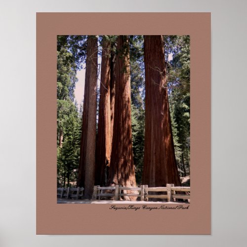 SequoiaKings Canyon National Park Poster