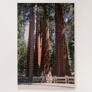 Sequoia/Kings Canyon National Park Puzzle