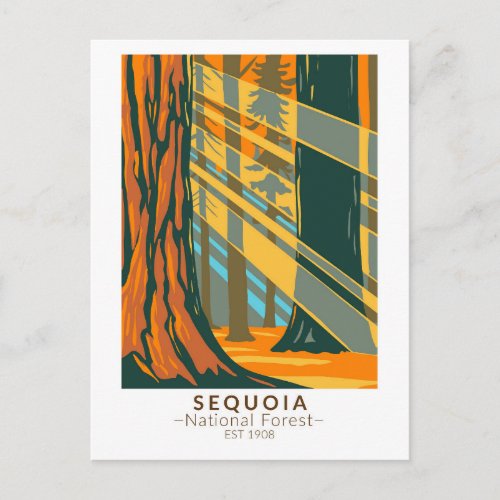 Sequoia National Forest California Vintage Postcard