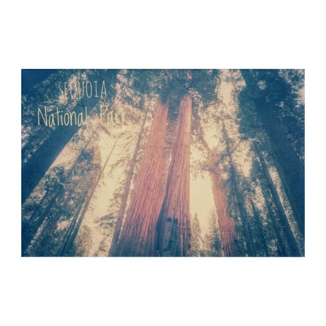 Sequoia National Park Acrylic Print (Front)