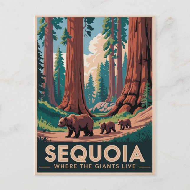 Sequoia National Park Bears Vintage Travel Poster Postcard (Front)