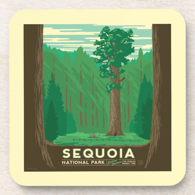 Sequoia National Park Beverage Coaster (Front)