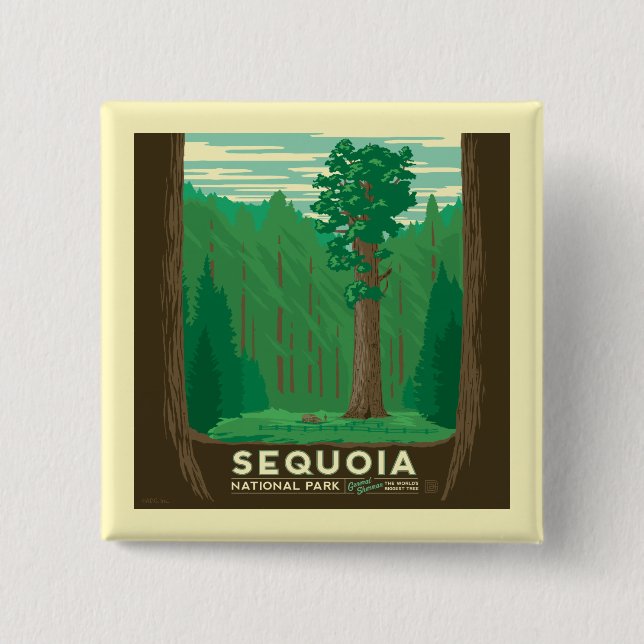 Sequoia National Park Button (Front)