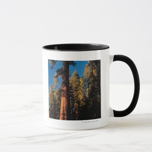 Sequoia National Park  California 2 Mug