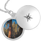 Sequoia National Park , California 2