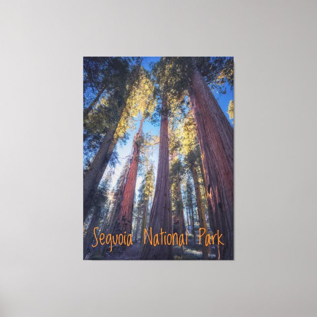 Sequoia National Park California Canvas Print (Front)